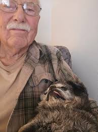 Happy 16th Birthday to Indigo Rose, a Beloved Pug