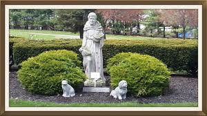What to do with remains; Cloud Nine Pet Services
