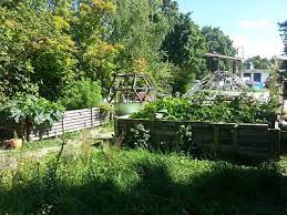 Diese fragen sollten sie sich zuvor stellen! Garten Karte Urbane Garten Munchen