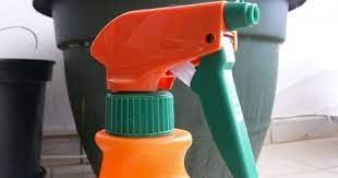 Foliar Feeding With Calcium How To Make Your Own Calcium Fertilizer Living Stone Plant Foliar Spray Stone Plant