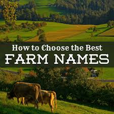 We did not find results for: A Guide To Choosing The Best Farm Names Toughnickel