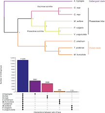 Image result for Macrotyloma daltonii