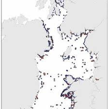 「Write a comment gigerium」の画像検索結果
