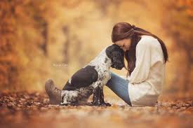 Beispielfotos Beispielfotos In 2020 Hunde Fotos Haustierfotografie Hunde Bilder