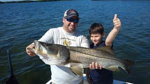 Popular Tampa Fishing Species Tampa Fishing Charters