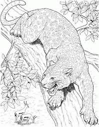 Find more cheetah coloring page for adults pictures from our search. Cheetah Coloring Pages 12 Gif 468 600 Cat Coloring Page Detailed Coloring Pages Animal Coloring Books