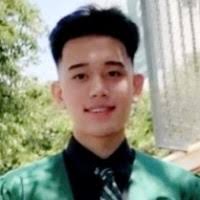 20+ "Vince Diego" profiles