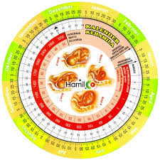 Cara diatas bisa anda coba sendiri di rumah, namun kelemahannya adalah hanya bisa digunakan untuk memprediksi usia kehamilan bagi wanita dengan masa haid yang teratur, jika tidak maka akan sangat sulit sekali. Tips Cara Menghitung Usia Kehamilan Dalam Minggu Anakagungita