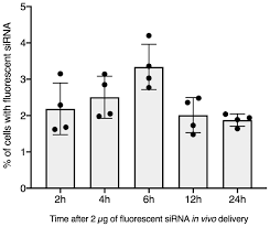 Dj anne v ibrahim malaysia hottest dj radio. Hemocyte Sirna Uptake Is Increased By 5 Cholesterol Teg Addition In Biomphalaria Glabrata Snail Vector Of Schistosome Peerj