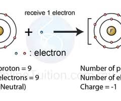 Ionic bonds simulate ionic bonds between a variety of metals and nonmetals. Ionic Bonding Flashcards Quizlet