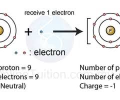 Ionic bonds (answer key) the ionic bonds gizmo™ allows you to phases of water answer key ionic bonds student exploration gizmo answer key is available in ionicbondsse name date student student exploration ionic bonds gizmo answer key quizlet. M4envwuudrks M