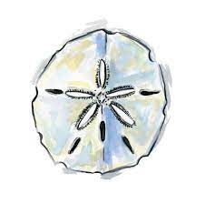 Sand Dollar Watercolor Sand Dollar Art Sand Dollar Tattoo Nautical Wall Art