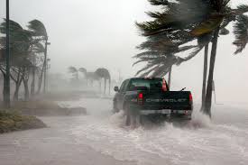 Homeowner's insurance doesn't cover all damage from hurricanes. Florida Hurricane Insurance Policy Responsive Insurance