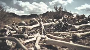 The Background Behind This Incredible Video Clip This Task Was A Joint Initiative That Extended Nations Time Areas Valley Of Dry Bones Dry Bones Ezekiel 37