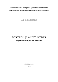 Audit public intern in institutie publica. Pdf Audit Intern Ana Maria C Academia Edu