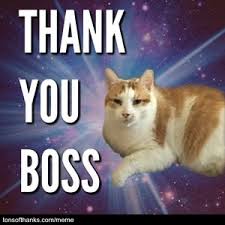 For that reason, i hope you enjoy these 101 funny 'thank you' memes and decide to share some with people who have made a difference in your life. 51 Nice Thank You Memes With Cats Tons Of Thanks