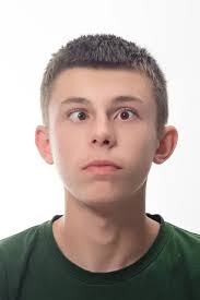 Leon head Stock Photos, Royalty Free Leon head Images