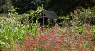 Botanisches institut und botanischer garten. Botanischer Garten Kiel