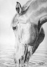 Equine Pencil Drawing Print Of Horse Drinking And Reflection In Water By Melissalynnd Realistic Animal Drawings Pencil Drawings Of Animals Animal Sketches