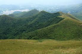 苗栗南庄 南庄麒麟山露營區 (34則評價) 苗栗縣南庄鄉南江村小東河11號(124縣道30.3k處轉入上山) 24.578478,120.993356. éº'éºŸå±± ç¶ æ´²oasistrek