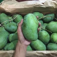 Mangga yang satu ini bukan hanya dapat ditemukan di rasanya manis, segar, dan aroma yang harum. Jual Mangga Harum Manis 500gr Buah Mangga Segar Mango Jakarta Selatan Sayfruit Tokopedia