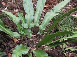 E2(Earth events＆Evacuation route) 地球のイベント情報のブログ