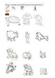 Imagenes De Animales Marinos Alimentandose Para Colorear Buscar Con Google Imagenes De Animales Animales Herbivoros Omnivoros