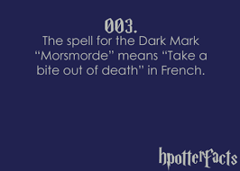 Harry Potter Facts Harry Potter Facts Harry Potter 29757568 500 357 Png Harry Potter Facts Harry Potter Universal Harry Potter Spells