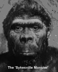 Good morning my fellow spooky, dark, and twisted group mates. I am a true  crime junkie, and wanted to start contributing to the group with true crime  posts that cling to my