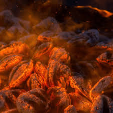 This skin gives a native look of nome interface on your windows 10 pc, and you'll get a cool classic interface. Download Fire Theme For Windows 10 From Microsoft Store