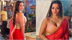 Bhojpuri Actress Net Worth: Akshara Singh, Amrapali Dubey, Monalisa, and  More