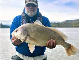 This past fall i spent several early mornings and evenings photographing anglers fishing for salmon on the saranac river near lake champlain. Vt Fishing Report Week Of May 13 2019 Vermont Fish Wildlife Department