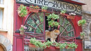 Good availability and great rates. Rick Steves Things To See And Do In Lyon France
