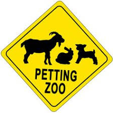 140 Petting Zoo Ideas Zoo Animals Zoo Farm Party