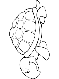Kleurplaat Schildpad Kleurplaten Nl Schildpad Tekening Dieren Krabbels Schildpad