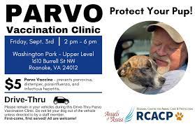 Low Cost Parvo Vaccine Pet Food Available At Angels Of Assisi Clinic On Friday Wfxrtv