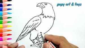 Makeup anti luntur tahan lama. Gambar Sketsa Elang