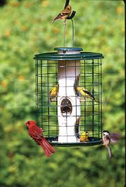 Bird Feeder For Large Birds Woodlink Avian Mixed Seed Feeder With Wire Cage Squirrel Proof Bird Feeders Caged Bird Feeders Bird Feeders