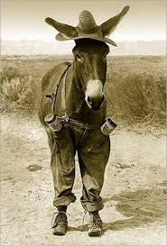 15 most funny donkey face pictures that will make you laugh. Hilarious Donkey Quotes Quotesgram