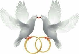 Love Birds Wedding Doves Wedding Symbols Wedding Frames