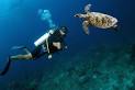 Why I Do NOT Train Kids In Scuba Diving
