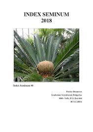 Image result for Dissotis swynnertonii