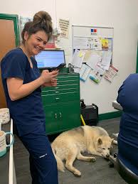 Greenside Veterinary Surgery