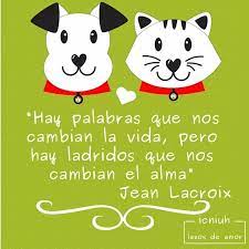 Hay Palabras Que Nos Cambian La Vida Pero Hay Ladridos Que Nos Cambian El Alma Jean Lacroix Animal De Compania Perros Animales