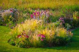 For longer borders, the design may be easily extended by increasing the number of plants of each kind or repeating the design. Using Ornamental Grasses In Your Garden Design Horticulture