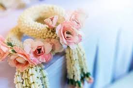 Anggrek merupakan salah satu jenis bunga paling diminati oleh penggemar tanaman. 10 Bunga Dekorasi Pelaminan Yang Populer Digunakan Untuk Pernikahan Wedding Market