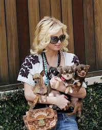 The Most Pampered Pooches Of All Time Paris Hilton Dog Chihuahua Pampered Pooch