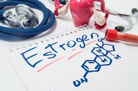 Image result for Estrogen