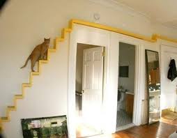 This list includes design ideas for even the smallest of spaces and budgets. Cat Room Ideas Every Crazy Cat Lady Wants To Get Her Hands On Cool Cat Tree Plans Cat Room Cat Stairs Cat Tree Plans