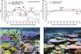 Printable coral reef coloring sheet. Optical Feedback Loop Involving Dinoflagellate Symbiont And Scleractinian Host Drives Colorful Coral Bleaching Sciencedirect